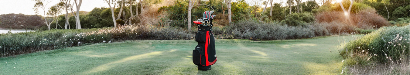 Cart & Trolley Bags