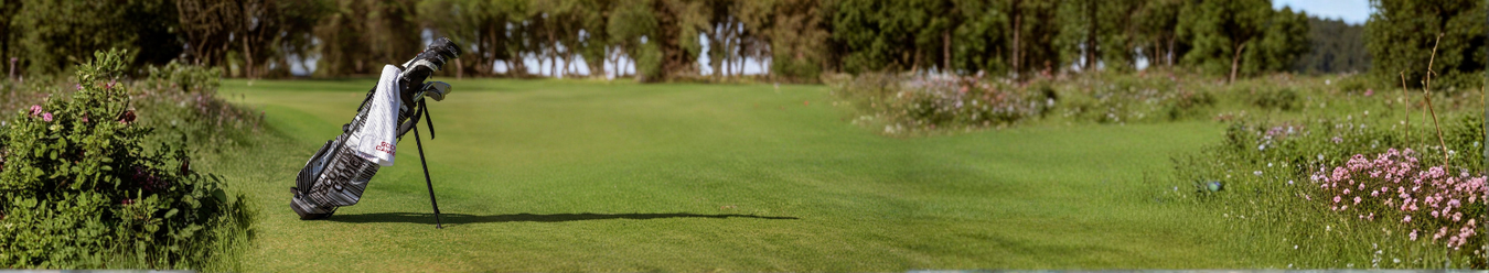 Limited Edition Golf Bags