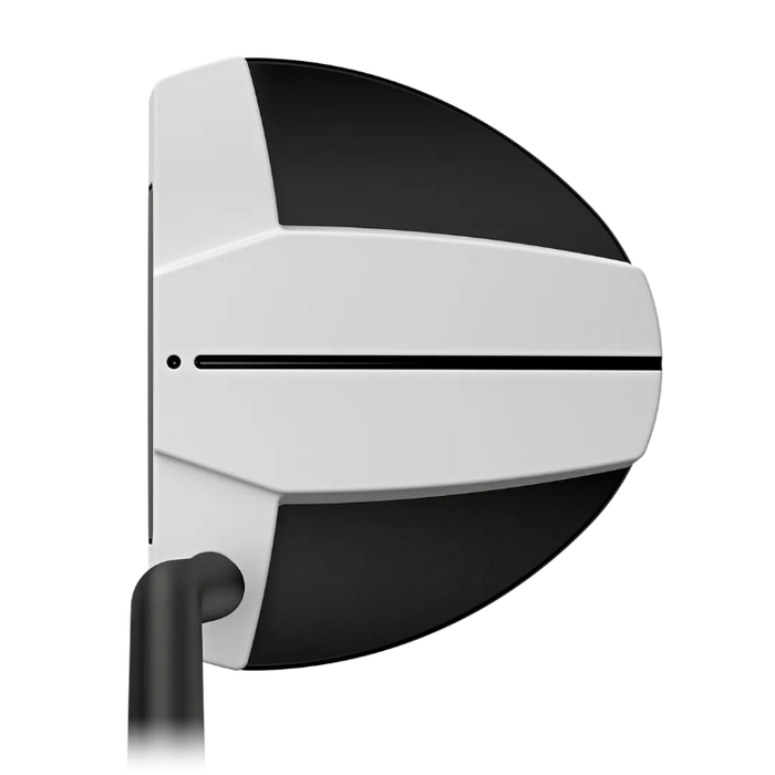 View at address of the PING Scottsdale Tec Hayden Golf Putter